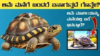 ಆಮೆ ಮನೆಗೆ ಬಂದರೆ?⚡Information about turtle ⚡turtle⚡Aame manege bandare