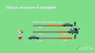 ACC-M - QHSE - LES RISQUES ROUTIERS PROFESSIONELS