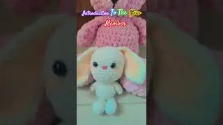 Introduction to the new member 😃#crochet #diy#bunny#rabbit #cute#kawaii#crochetbunny#easy#roomdecor