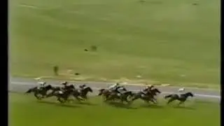 1980 Epsom Oaks Bireme