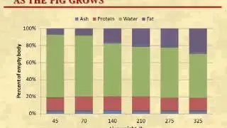 Dr. John Patience - Growth and development implications of marketing pigs at heavier weights