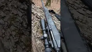 #Savageapx #apxhunter110 #hunting #tennessee #Tennesseeoutdoors #deerhunting #riffle