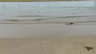Strand am Rhein in D&uuml;sseldorf 12.07.2022