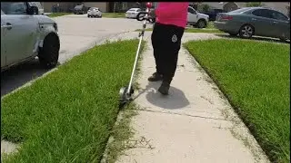 Mowing Overgrown Saint Augustine grass  | Tall Grass Cutting