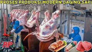 PROSES PRODUKSI MODERN DAGING SAPI DI PABRIK DANISH CROWN DAN TURKEY