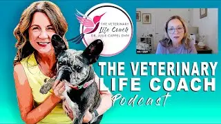 Veterinary Life Coach Podcast Episode 369 | Designing Your Best Year with Dr  Julie Cappel