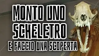 Monto uno SCHELETRO e faccio una scoperta DIVERTENTE!
