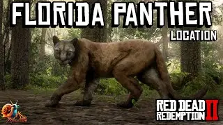 Florida Panther Location - Red Dead Redemption 2