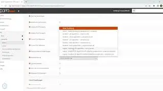 OpnSense and OpenVPN | IT-Engler