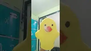 num #pluck da duck
