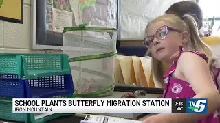Iron Mountain Elementary School joins Monarch Waystation network