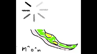 資料禁止！リスナー参加型ポケモン即興お絵描き配信 ～カビ丸画伯展～　2026年新春