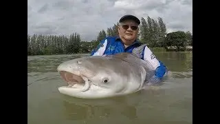 Chaophraya Catfish and Arapaima fishing Thailand- BKKGUY