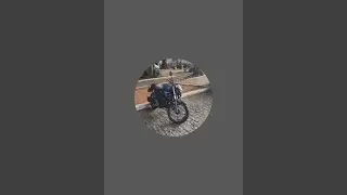 Propheta Porquê está ao vivo!