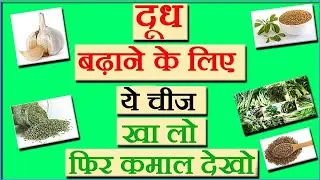 Ma ka dudh badhane ke upay || Breast milk kaise badhaye in hindi || Breast milk increasing food