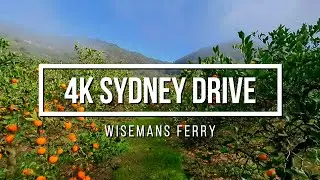 Wisemans Ferry Drive & Fruit Picking | Scenic Roads, Misty Hills & Glenorie Bakery | 4K Sydney Drive
