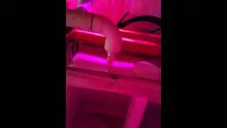 Canadian Aquaponics Video 2: IBC Fish Tanks