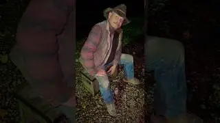 Ковбойская логика вездесуща и ситуативна.