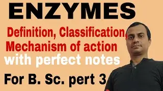 Enzymes, classification, mechanism of action