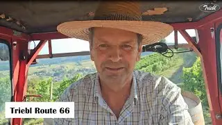 Vulkanland Route 66: Entdeckungstour zum Weingut Triebl auf einem Steyr 86!