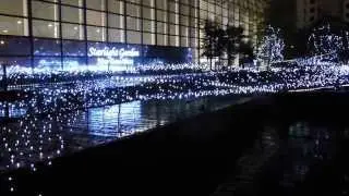 X'mas@HK沙田新城市廣場-starlight garden