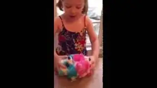 SwitchARooz Toy Review