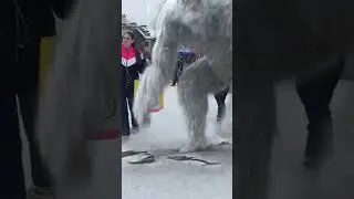A Yeti in Colorado! #Yeti #bigfoot #iceman #sighting
