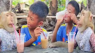 Abii Share Their Favorite Drinks with SokYaa Friends - WHOLESOME Content