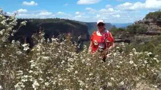 Neates Glenn - Katoomba