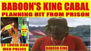 The St Lucia Baboon King remains active from prison, - while police officers operate with impunity.
