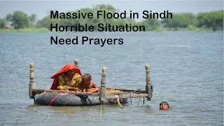 flood in Sindh | massive flood Pakistan 2022 | Live Videos of Sindh Flood