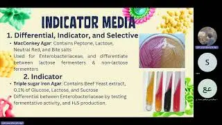 Culture Media of Bacteria | Microbiology |   Session 3
