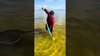 Catching ghost shrimp at the beach! #ghostshrimp #slurpgun #fishing #beach