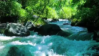 River Sounds the water flows in a gentle rhythm, the atmosphere relieves stress