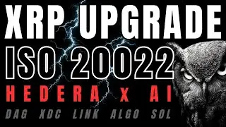 🚨 Обновления XRP, которые вы пропустили | ISO 20022, HBAR и этап инфраструктуры ИИ