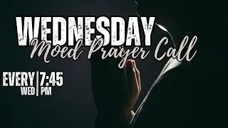 Moed Wednesday 1.28.2025
