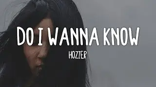 Hozier - Do I Wanna Know (Lyrics)