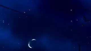 lineisoff. - flies like a bird.
