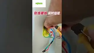 WAGO万可接线端子221系列