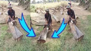 STIHL Chainsaw vs. Huge Palm Tree! (Satisfying Fast Cutting)
