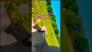 Beautiful Summer in England #letsgo #shortvideo #summer #england #trendingshorts  #mytravelvanz