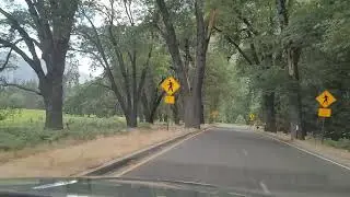 Un d&iacute;a en Yosemite National Park