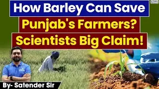 Top Agriculture Experts Reveal Why Barley is the Future of Punjab Farming