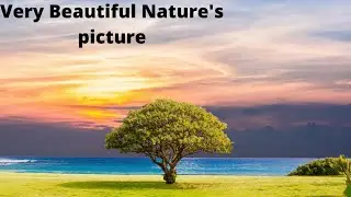 What a beautiful picture guy's you ever seen before in your life