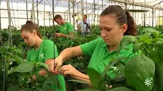 Tierra y Mar |  Formación de jóvenes agricultores en Vícar