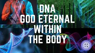 DNA-GOD ETERNAL Within The Body