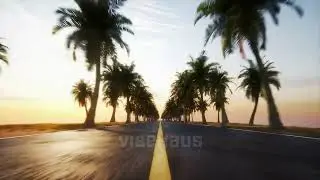 Passport - Vibe Haus | A Bittersweet Vacation Love Song I Beach Vibes