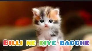 Building ke billi ne diye bacche #animals #cat #love #kitten #edit #life #vlog #masti #friends