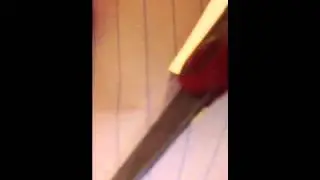 rock paper scissors real life edition