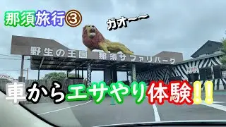 【那須旅行③】(超ど素人が撮った)那須サファリパークで大奮闘！？ゆきちゃん大絶叫😱の巻